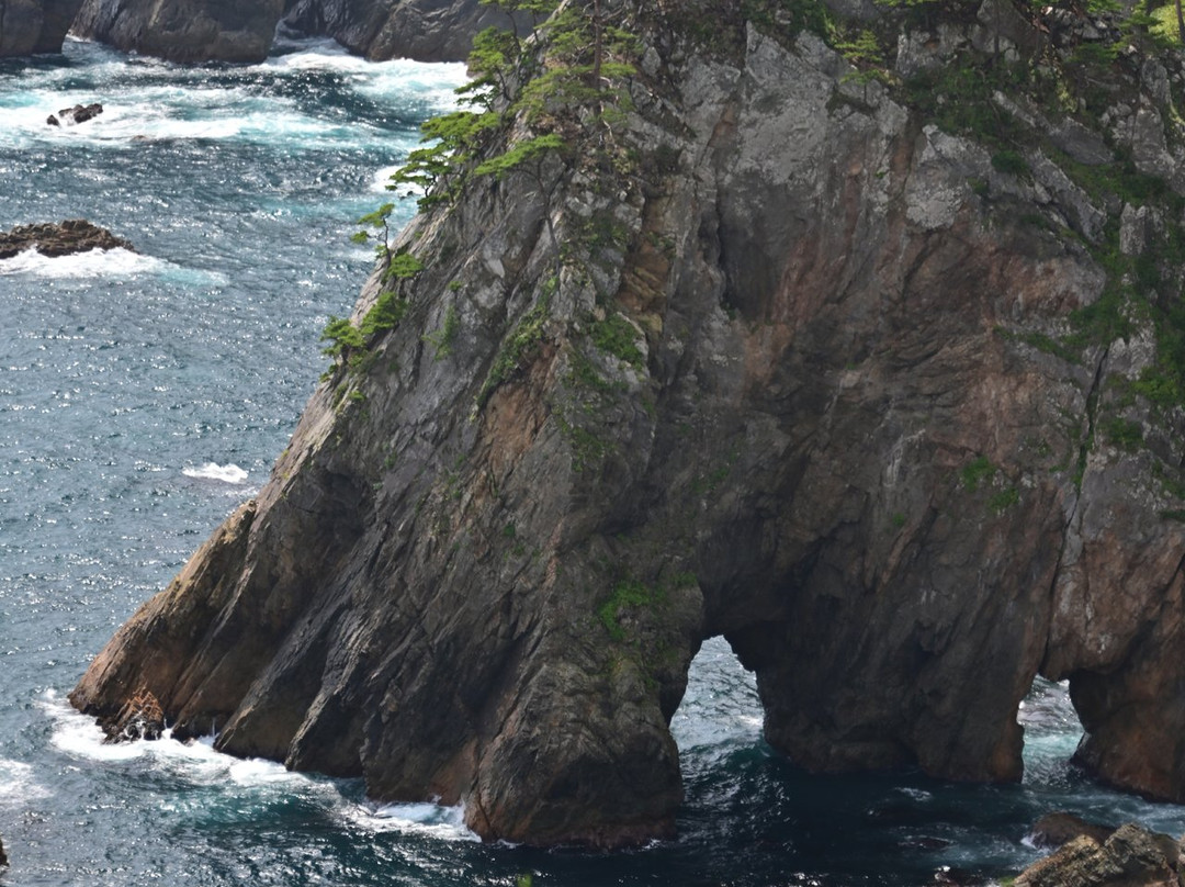 Kitayama Cape-田野畑村必去景点