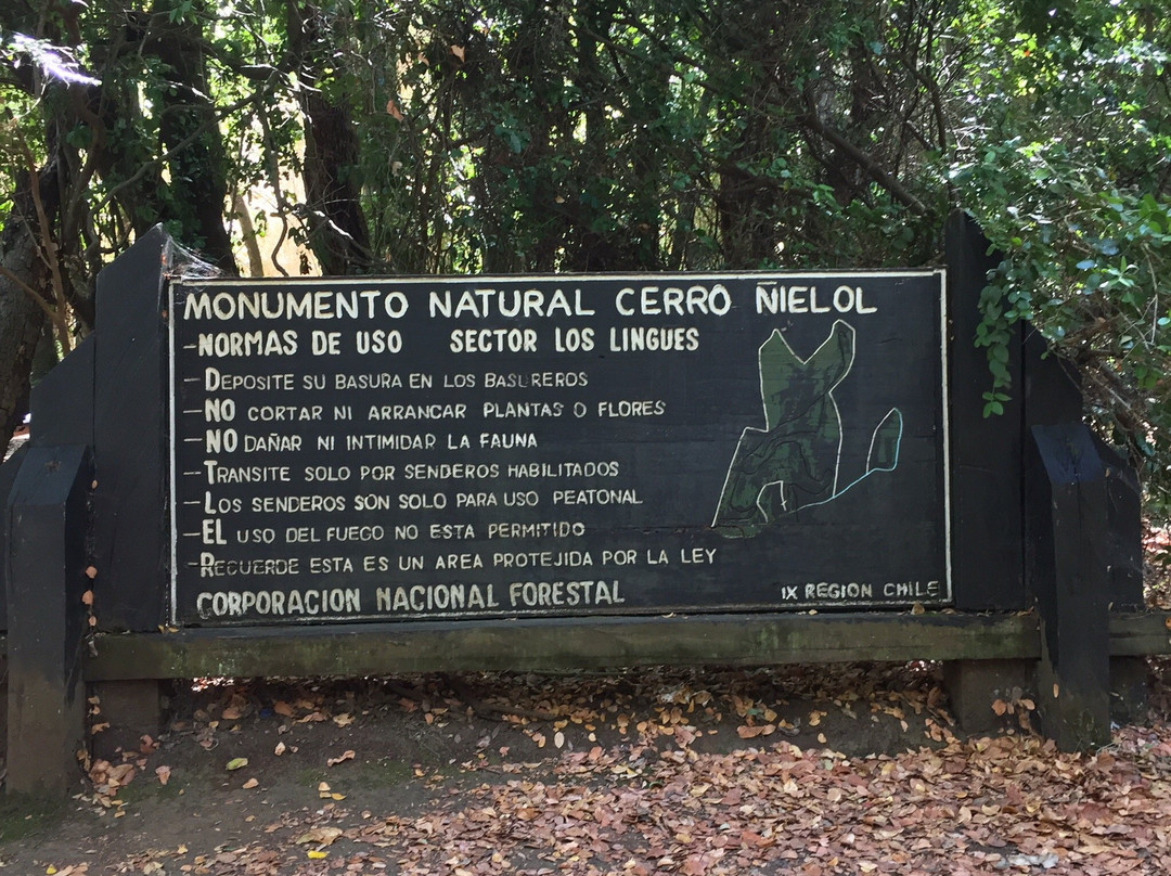 Monumento Natural Cerro Ñielol-特木科必去景点