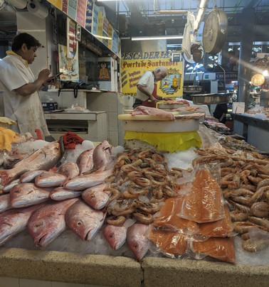 Traveling Spoon-墨西哥城必去景点