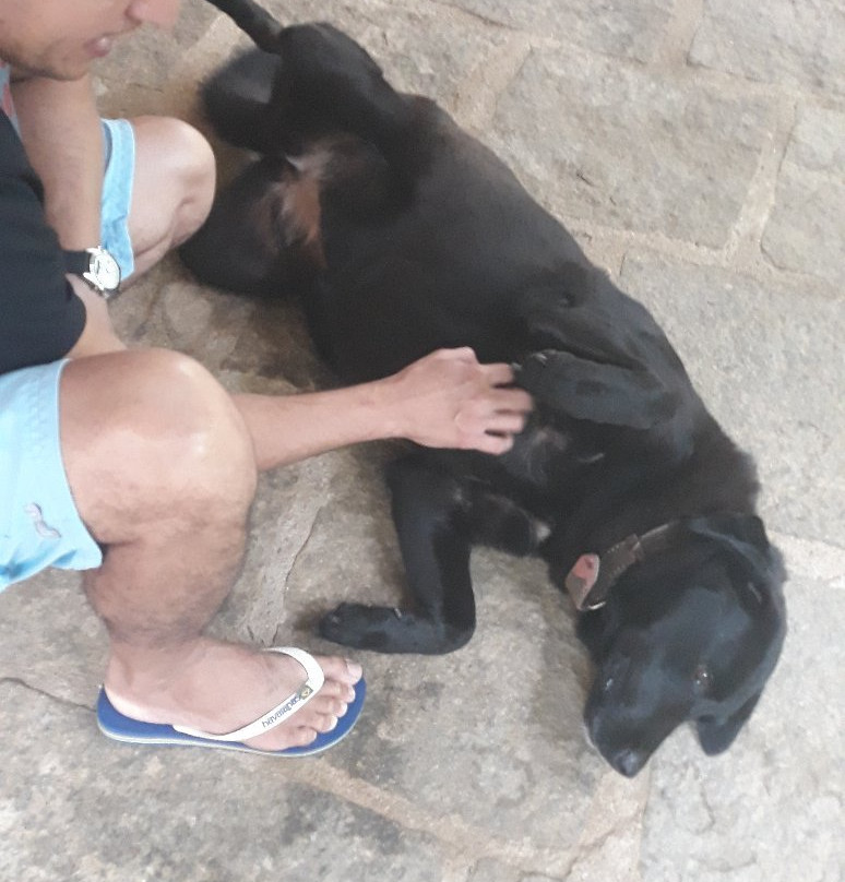 Pousada Mirante da Serra主图