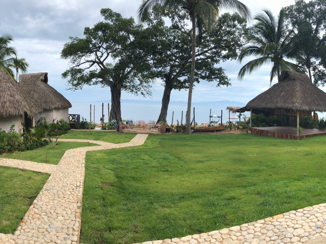 El Grullo Naturista主图