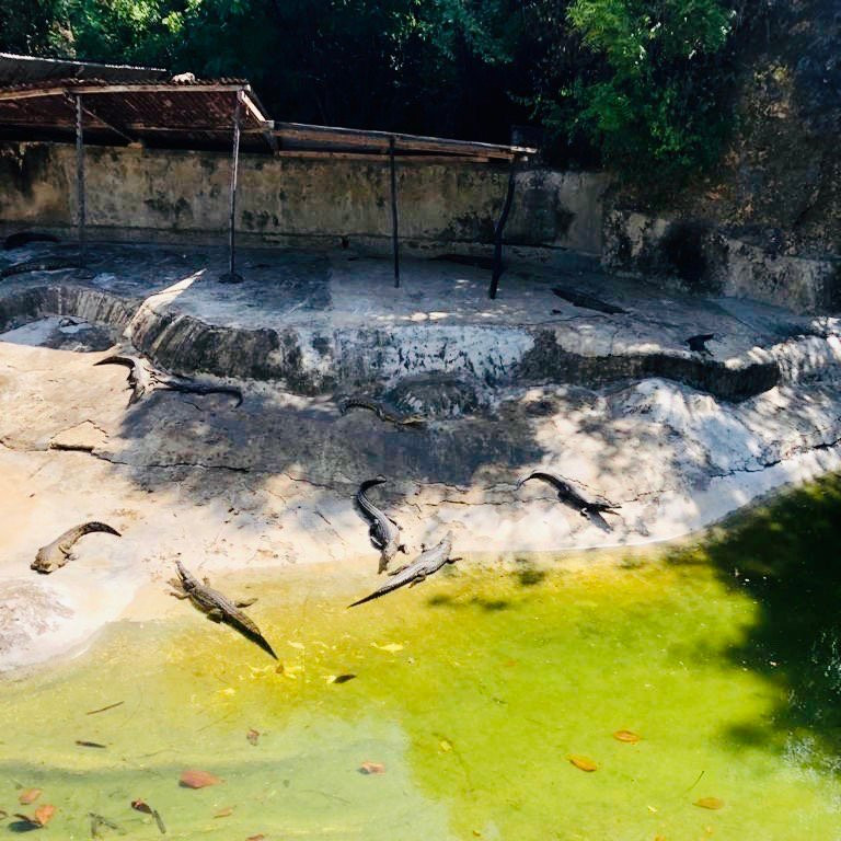 Mamba Village Centre-蒙巴萨必去景点