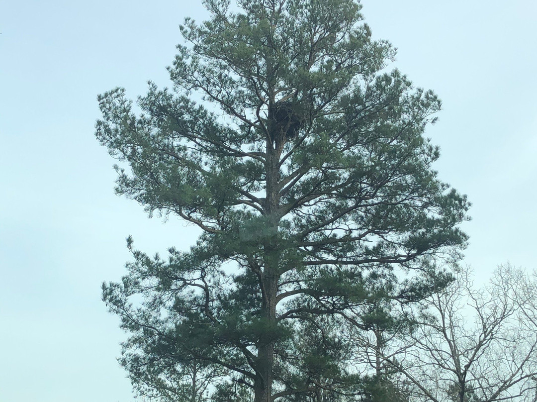 Shiloh Civil War Tours-Shiloh必去景点