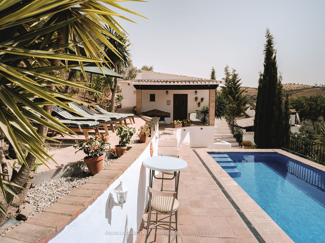 B&B Cortijo Loma Leon主图