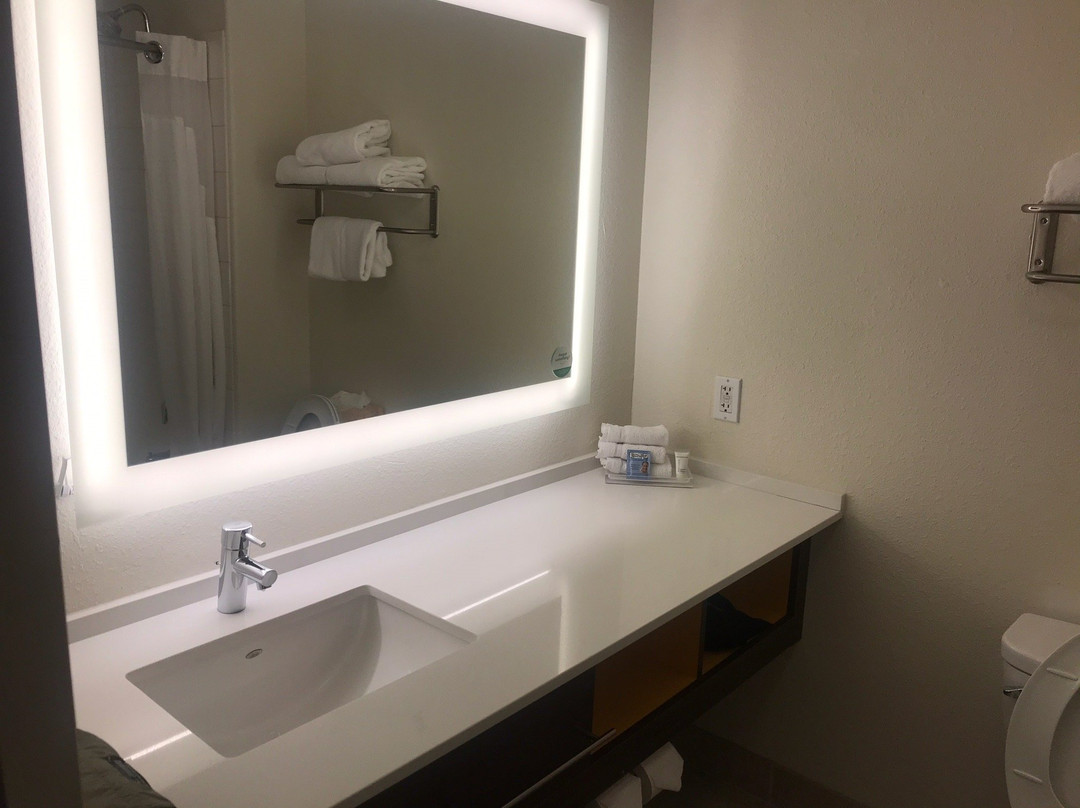 Holiday Inn Selma-Swancourt by IHG主图