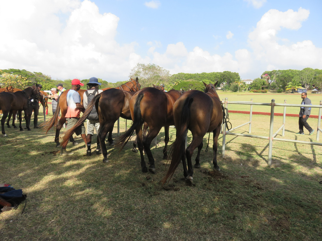 Barbados Polo Club-圣詹姆斯必去景点