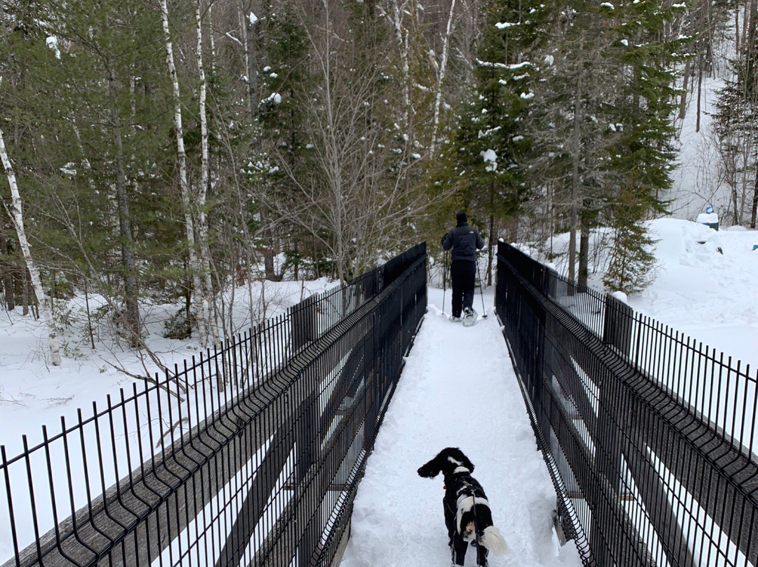 Parc de la Rivière Doncaster-Sainte-Adele必去景点