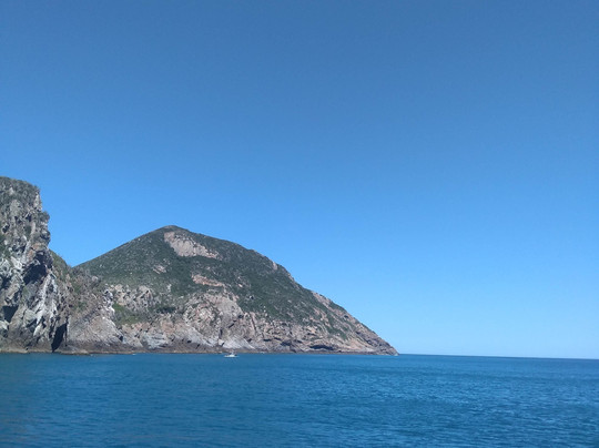 Barco Vitor Moura-阿拉伊阿尔港必去景点