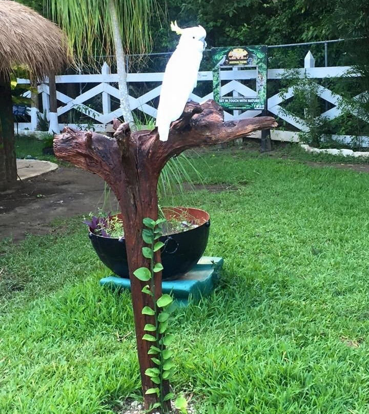 Bel Air Collection Resort & Spa Riviera Maya主图