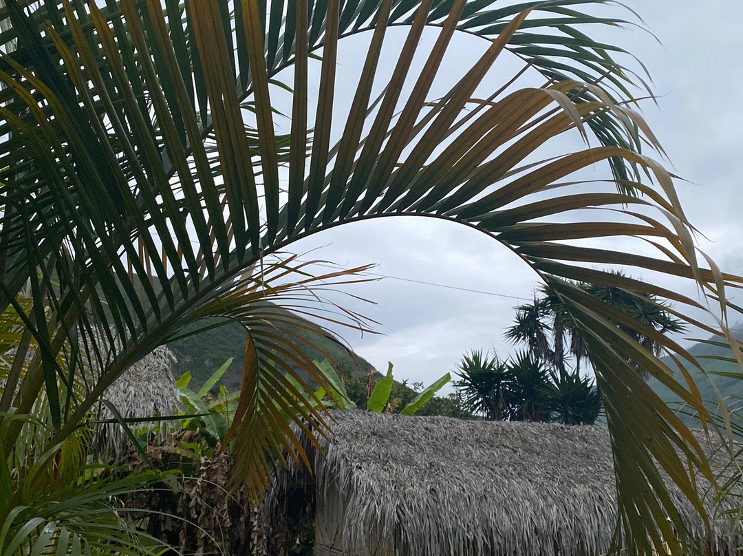 Cabanas Samay Magico主图