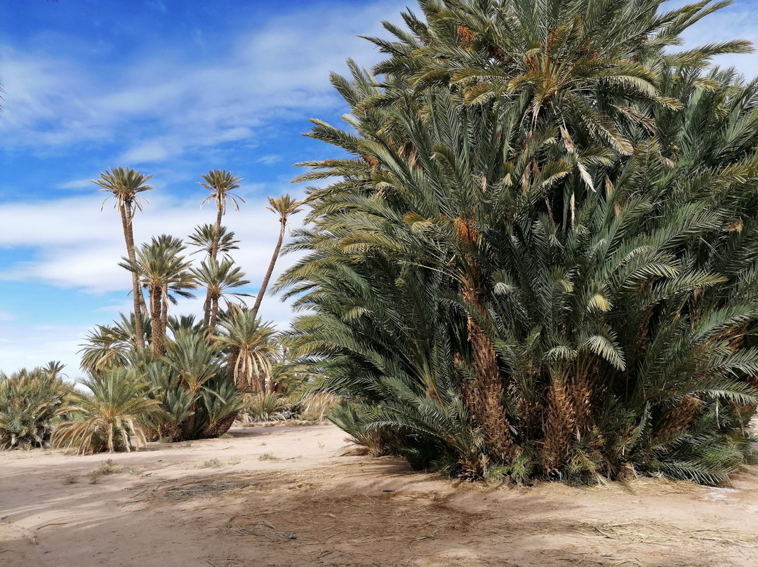 萨瓦迪酒店主图