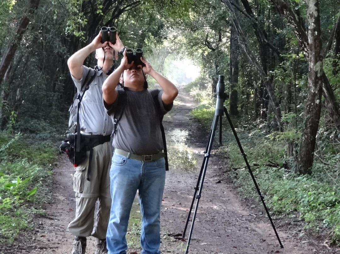 Ichi Wildlife Tours-巴利亚多利德必去景点