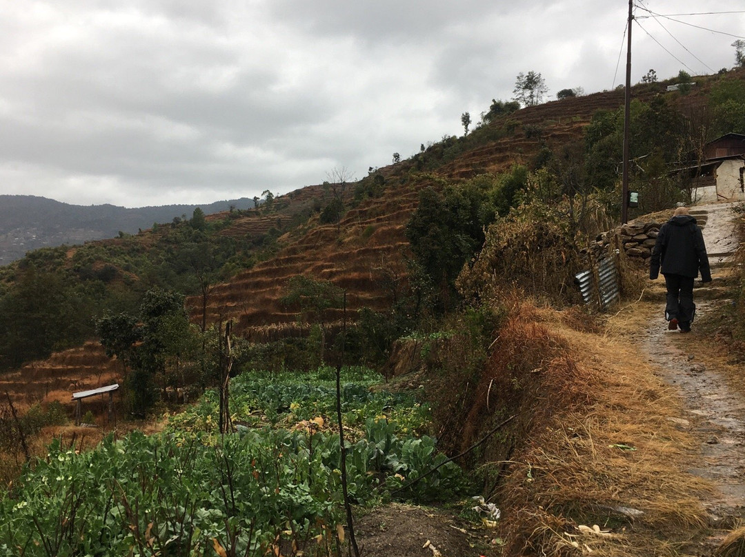 Nagarkot Panoramic Hiking Trail-纳加阔特必去景点