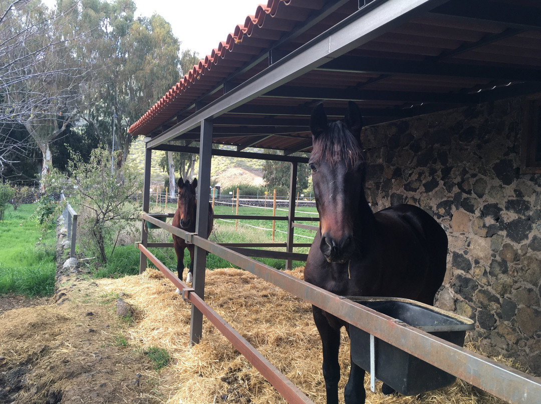 La Casona del Patio - Horseback Riding to Discover Nature-圣地亚哥德尔埃泰德必去景点
