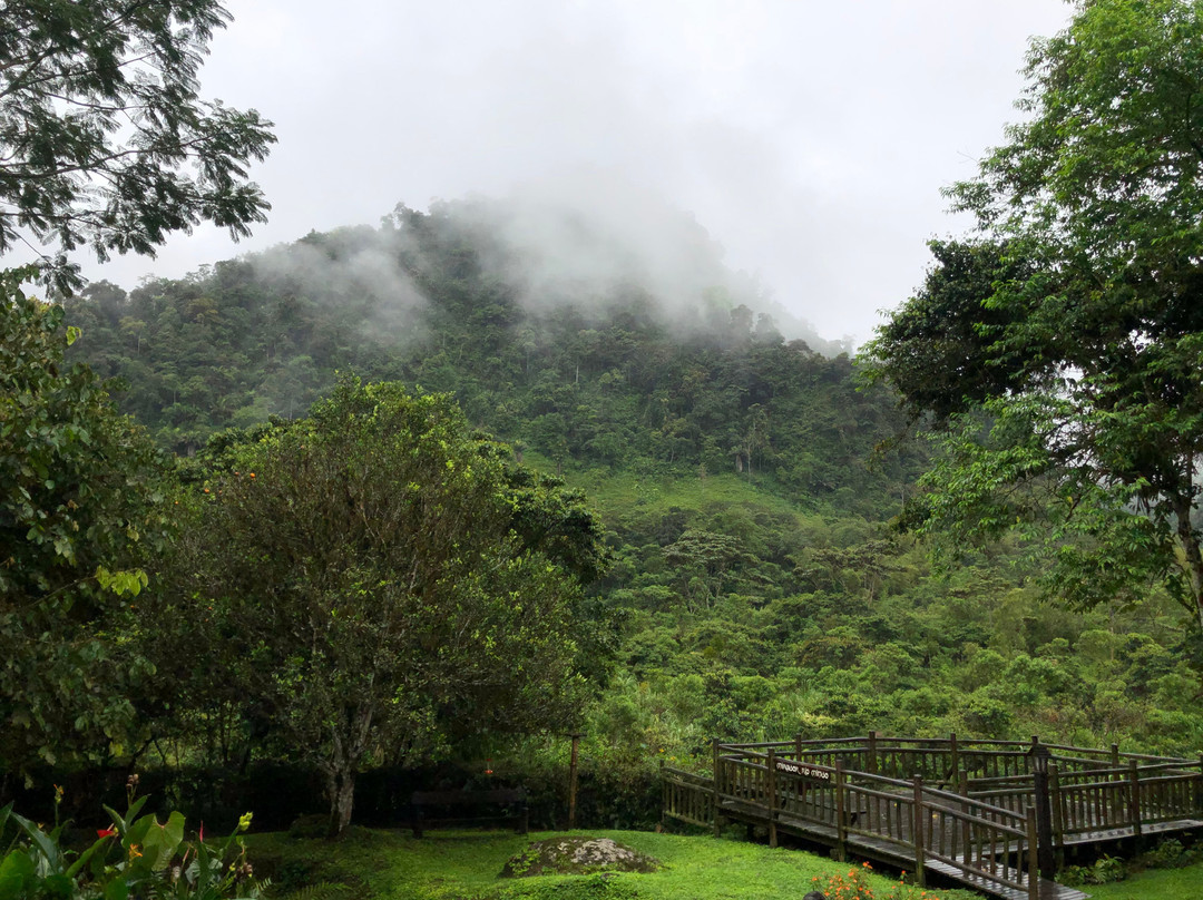 Sacha Urco Lodge y Bosque Protector主图