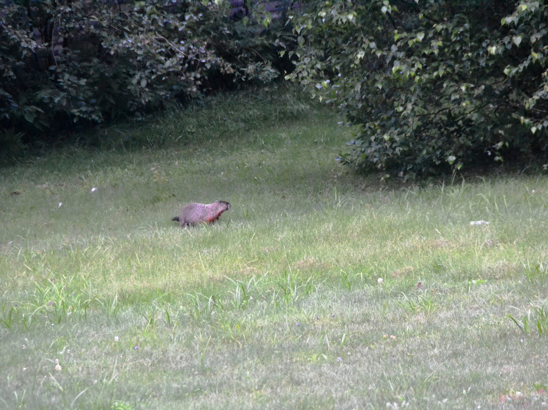 斯托尼布鲁克汽车旅馆&小屋酒店主图