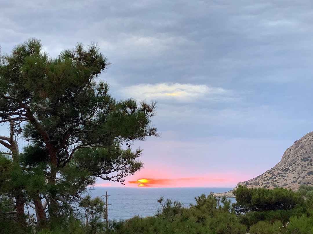 Adia旅游攻略图片