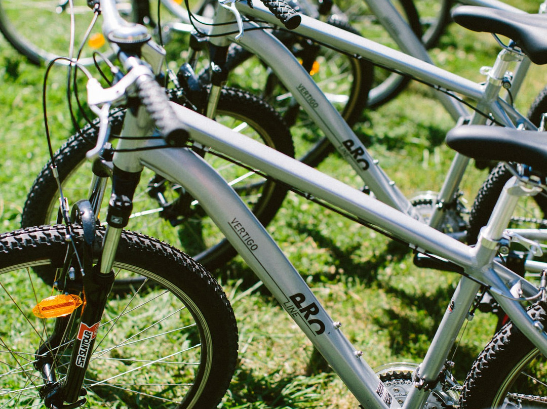 Jerry Bike Rental景点图片