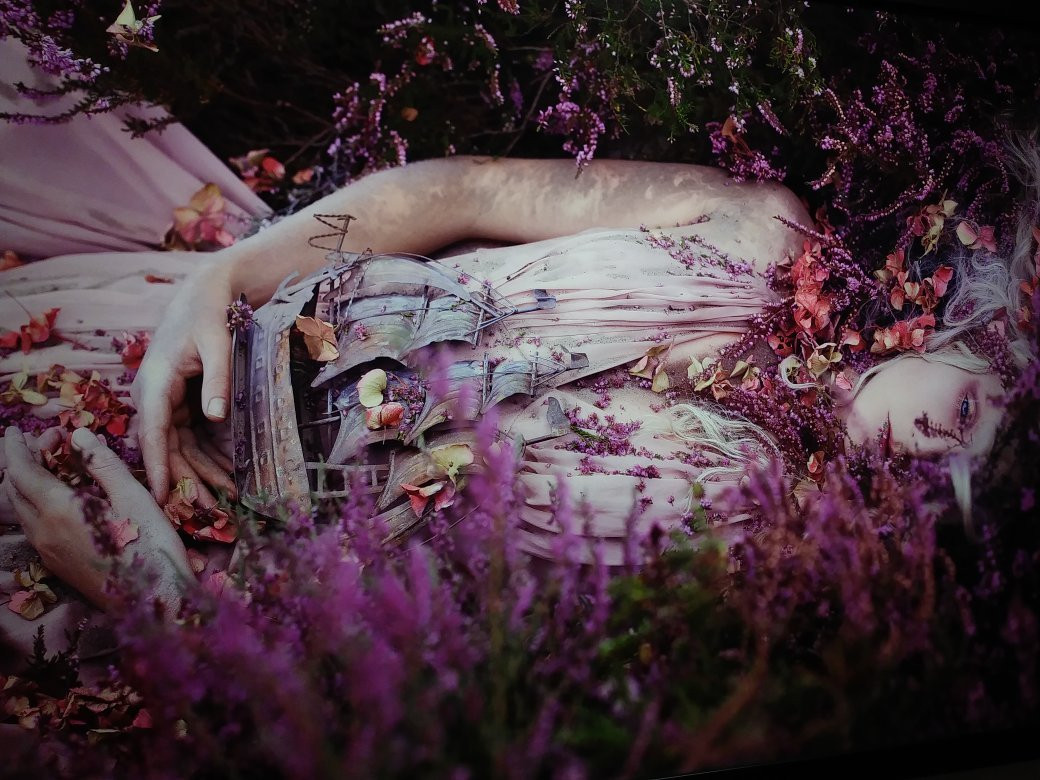 Museum of Art - Deland-迪兰必去景点