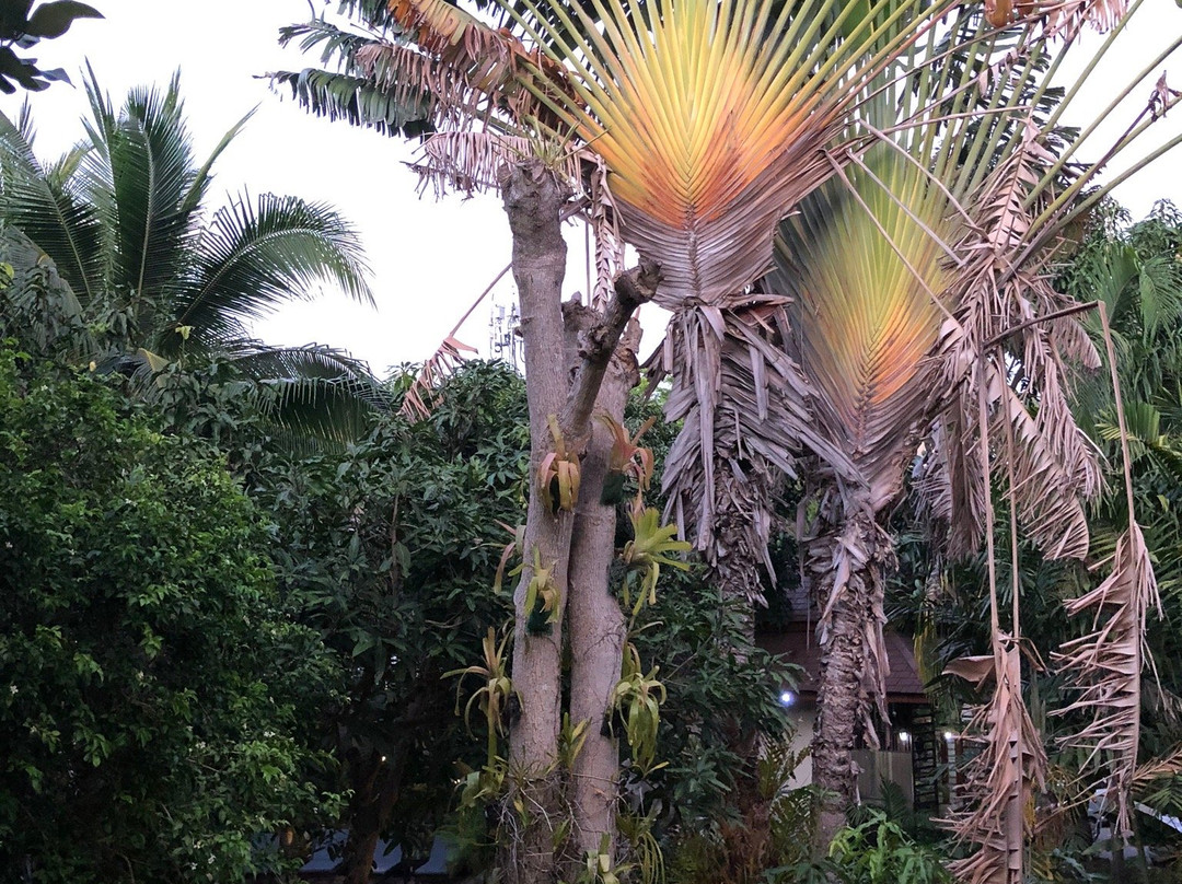 泰国皇宫度假村主图