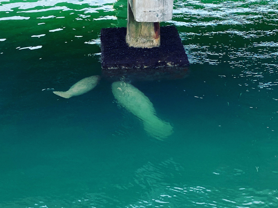 Rickenbacker Bridge-比斯坎湾必去景点