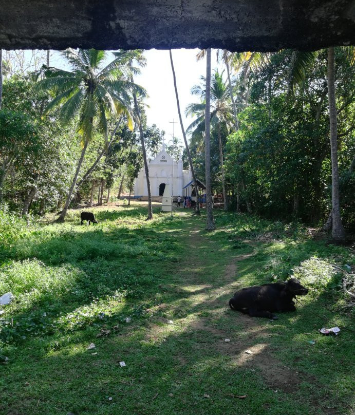 Dutch Church-Munroe Island必去景点