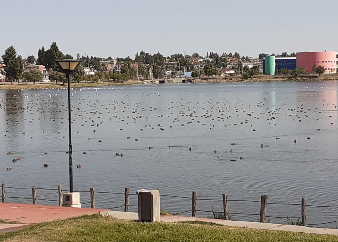 Laguna Chiquichano-Trelew必去景点