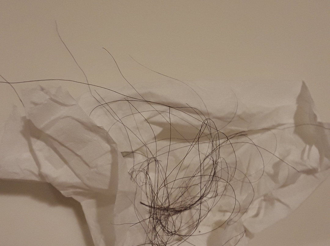 Red Roof Inn Yuba City Bonanza - Marysville主图