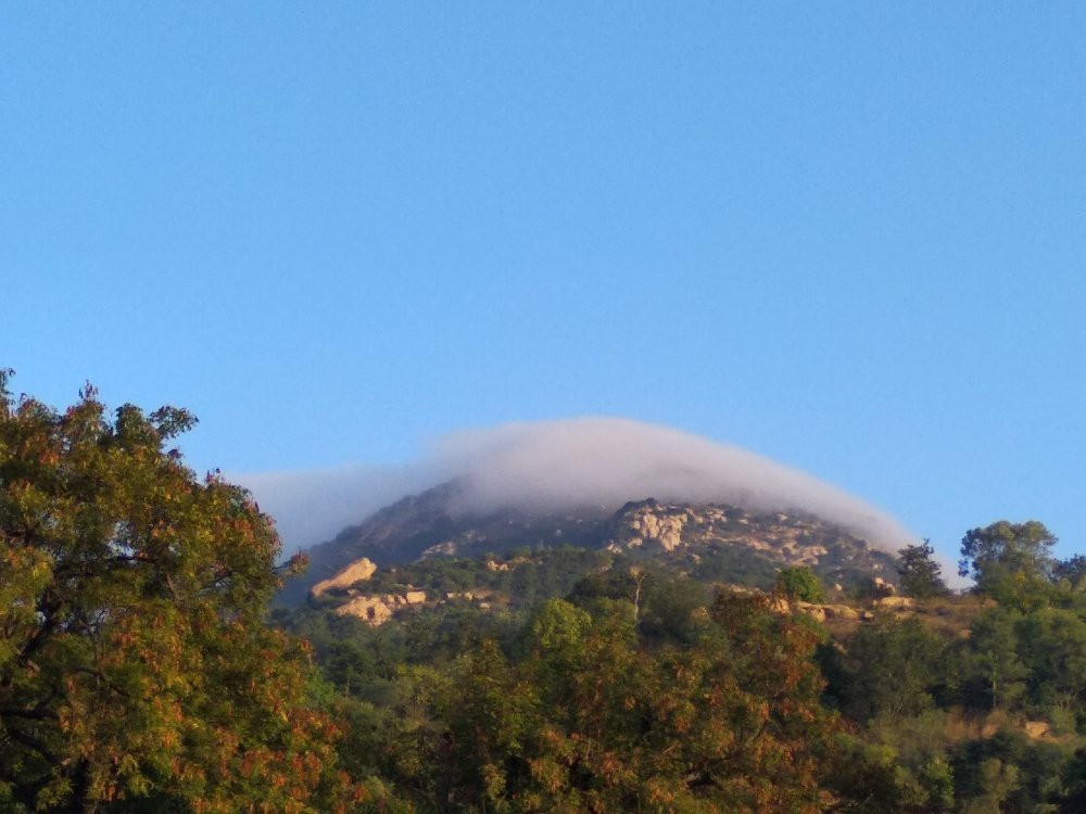 Sri Ramana Ashram-Tiruvannamalai必去景点