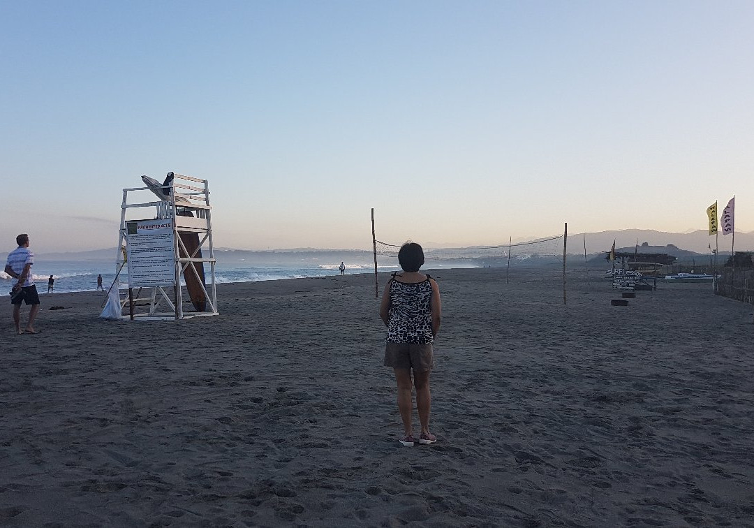 Sebay Surf Central主图