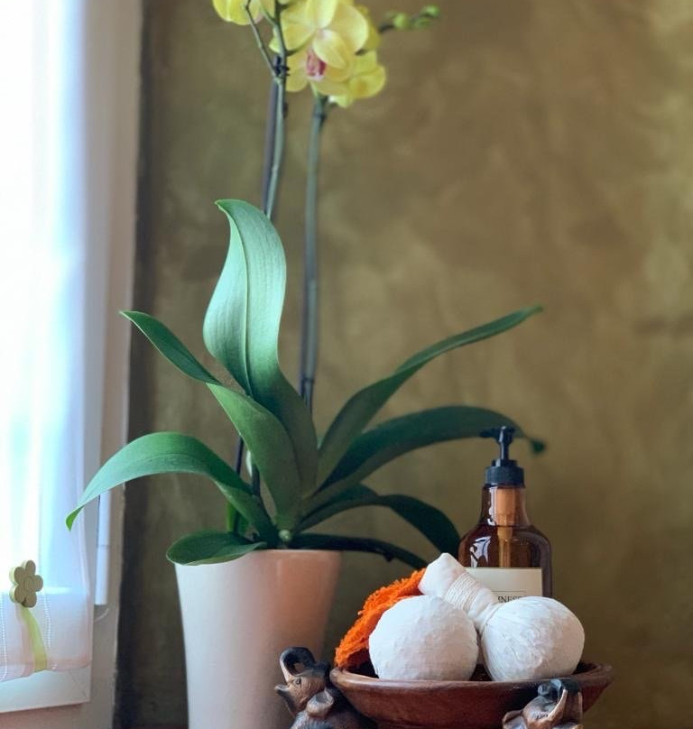 Massaggi Thai Duangjai景点图片