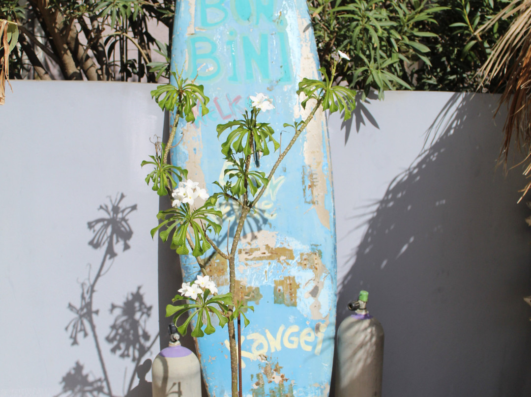 Oasis Guesthouse Bonaire主图