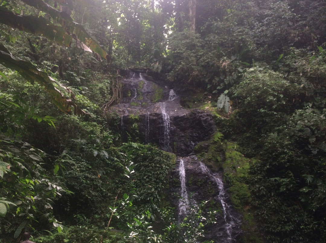 Brownsberg Nature Park-帕拉马里博必去景点