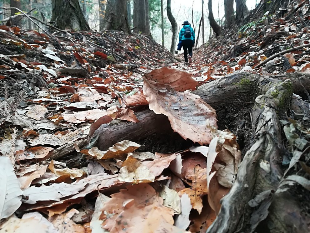 Azumayasan-小鹿野町必去景点