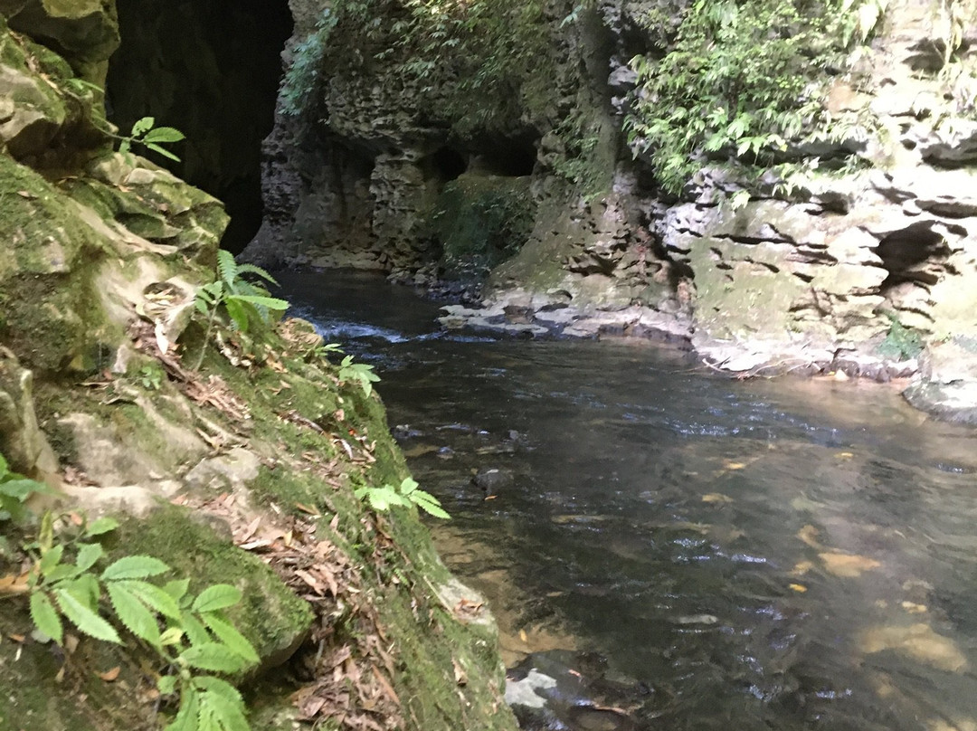 Ruakuri Walk-怀托摩洞穴必去景点