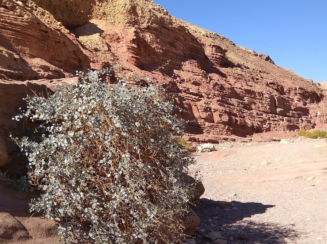 Red Canyon-埃拉特必去景点