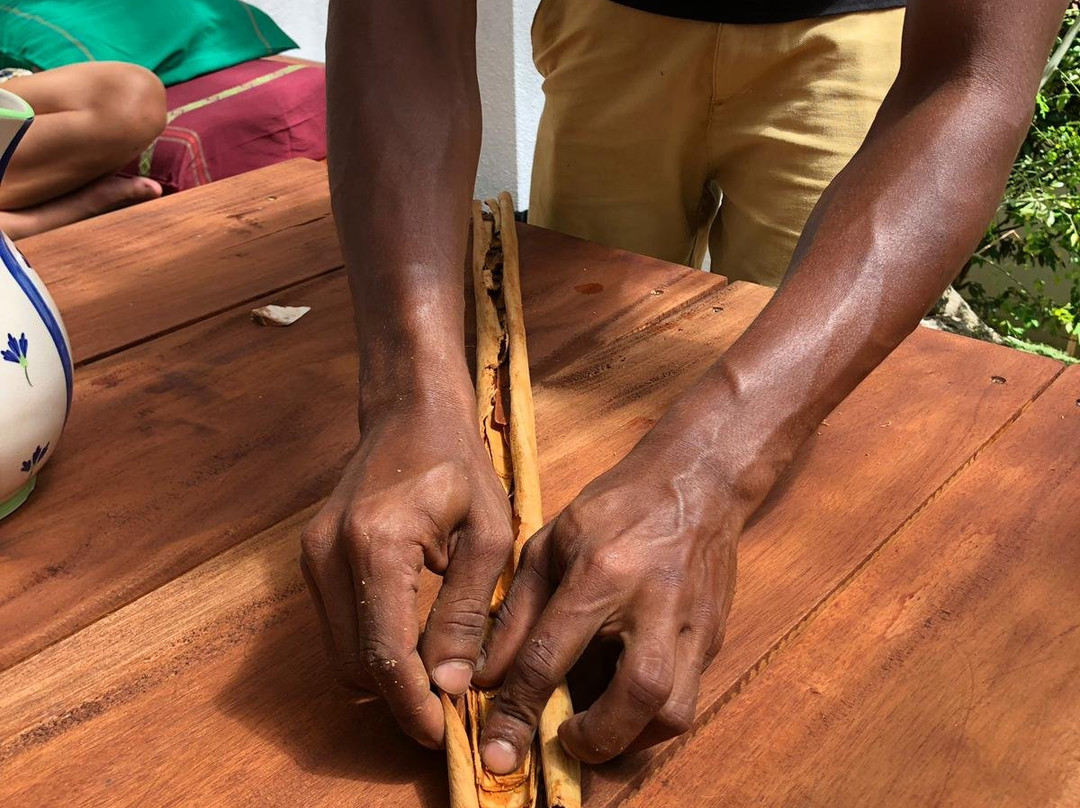 Shikra Cinnamon-Gandara必去景点