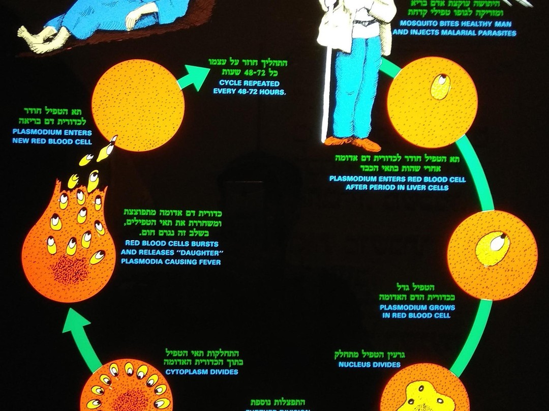 Khan Museum-Hadera必去景点