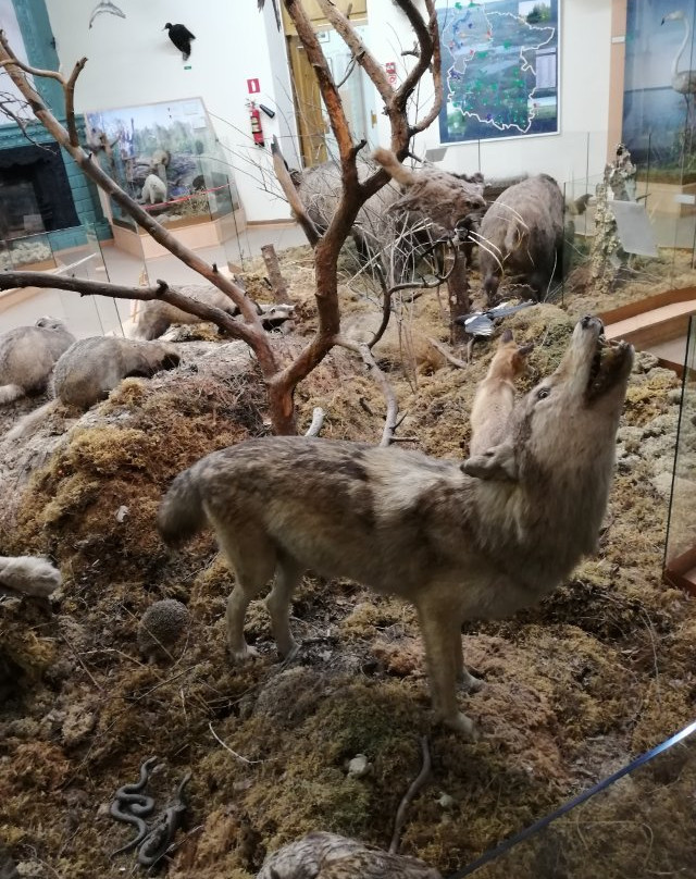 City Council Local History Museum-秋明必去景点