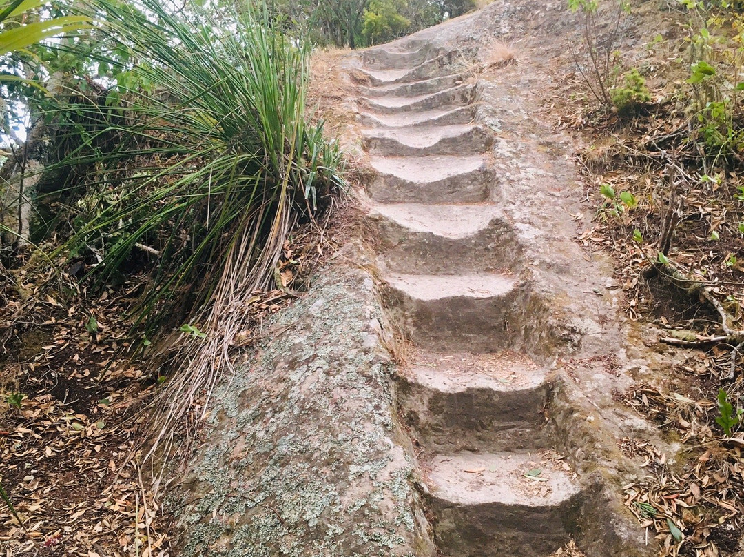 Whitianga Rock Walk景点图片