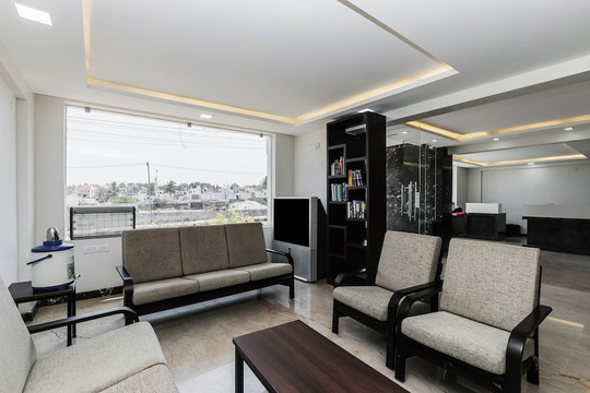 The Red Lotus Premium主图