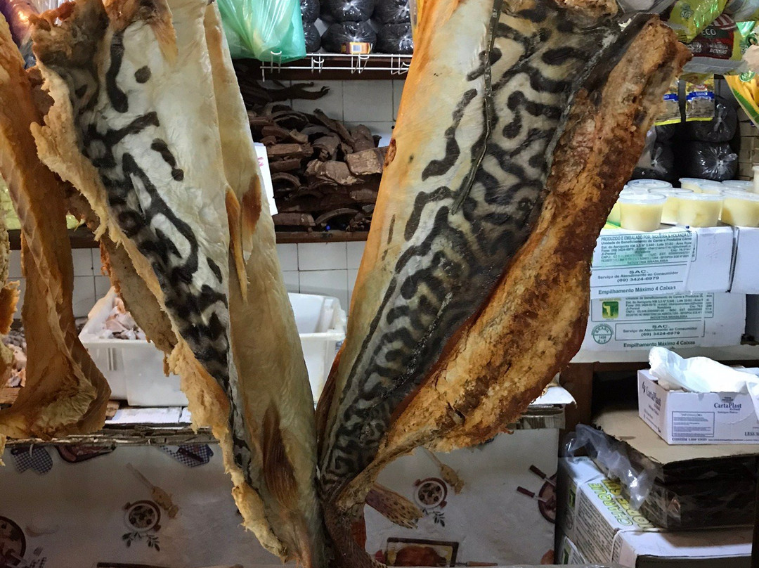 Elias Mansur Municipal Market-Rio Branco必去景点