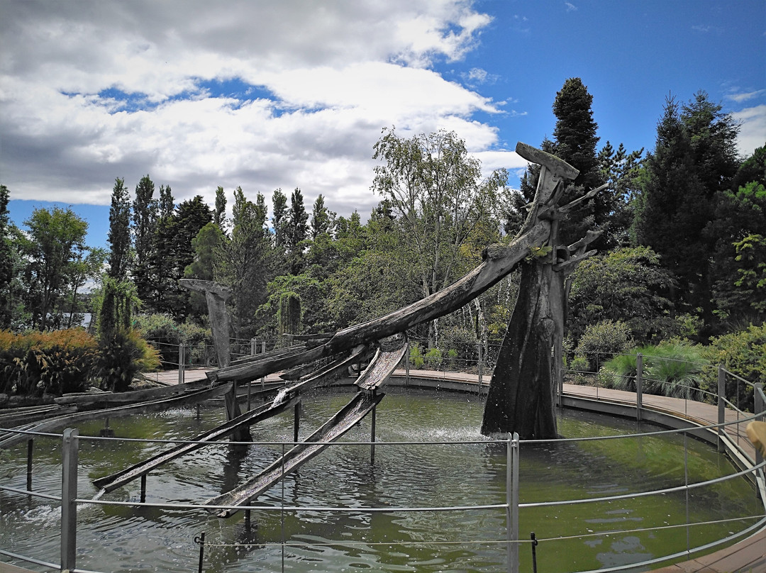 塔斯马尼亚皇家植物园景点图片