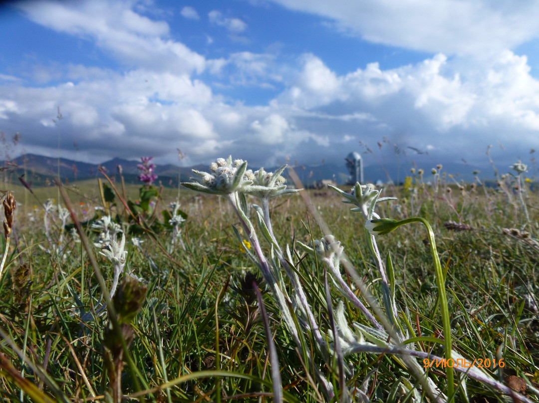 Individual Tours in Kazakhstan-阿拉木图必去景点