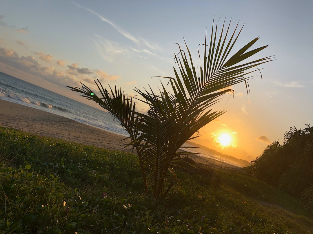 Lanka Beach Bungalows主图