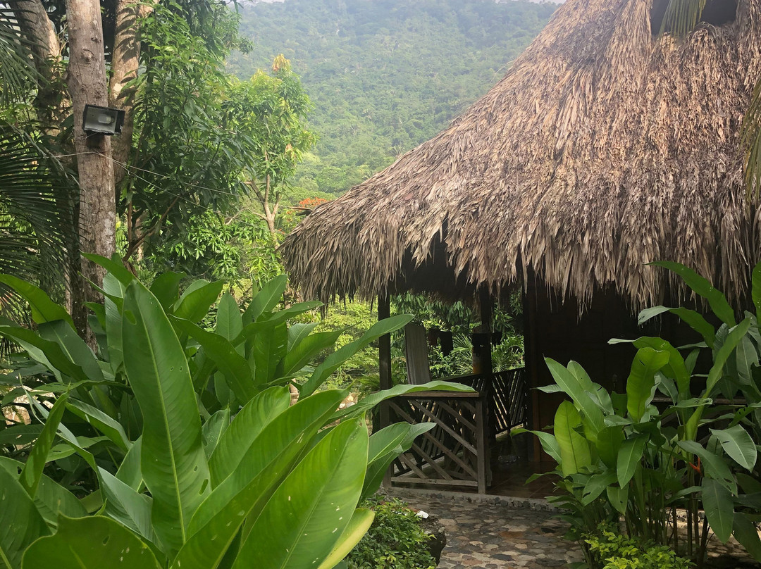 Tayrona Paradise主图