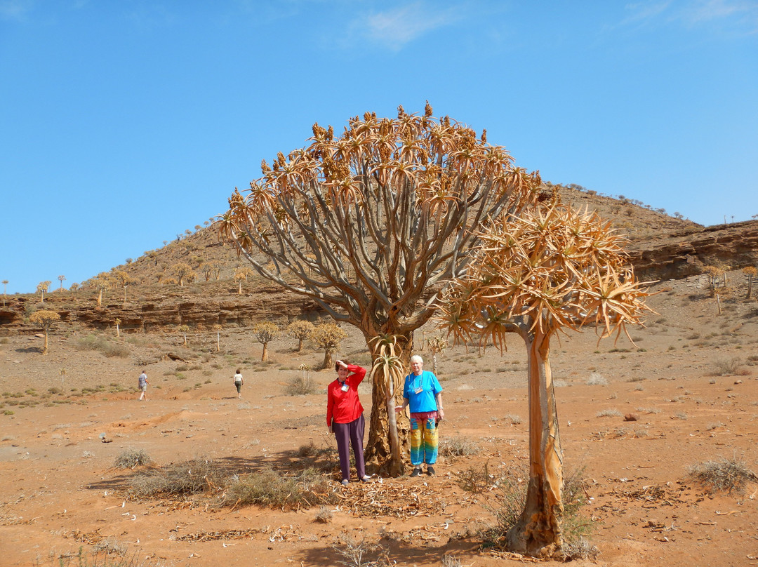 Namaqualand-北开普省必去景点