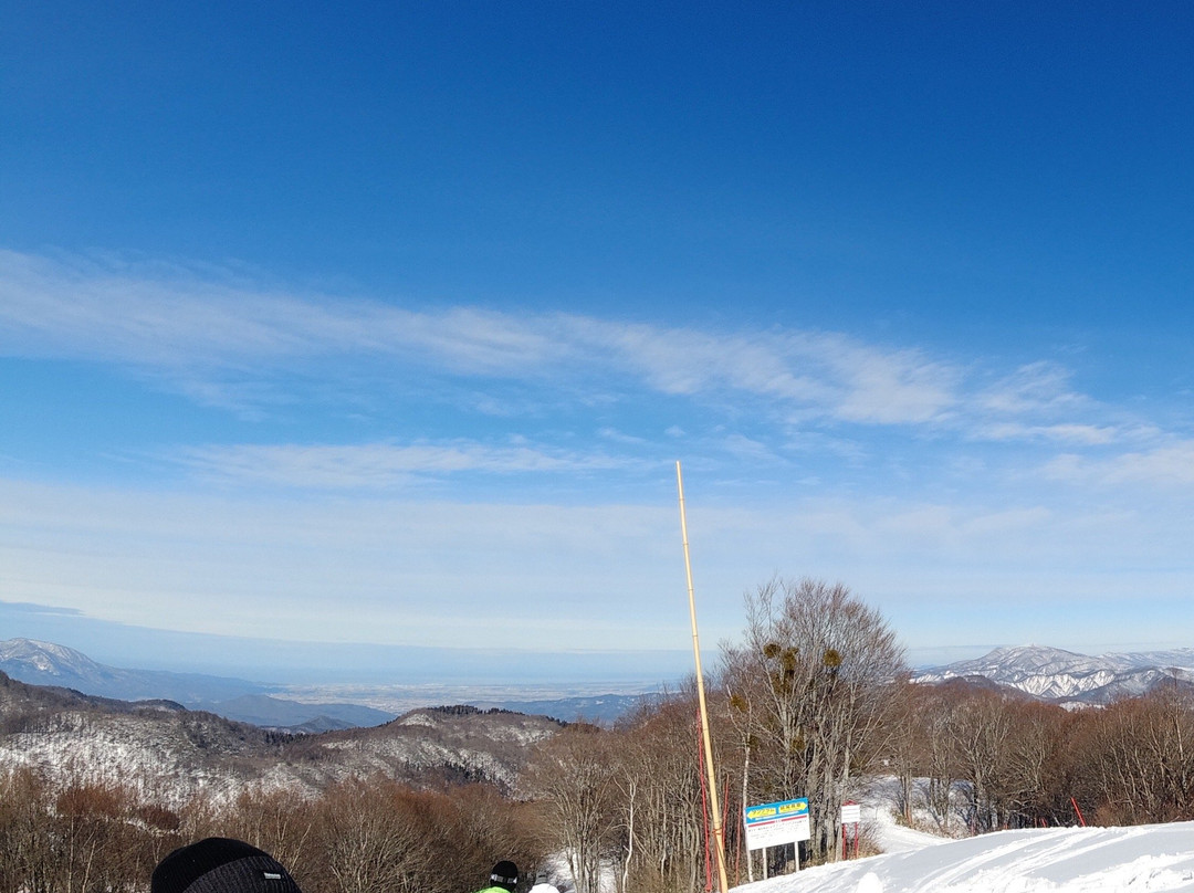 Tangram Ski Circus-信浓町 必去景点