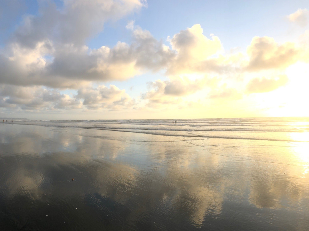 Kariotahi Beach-Waiuku必去景点