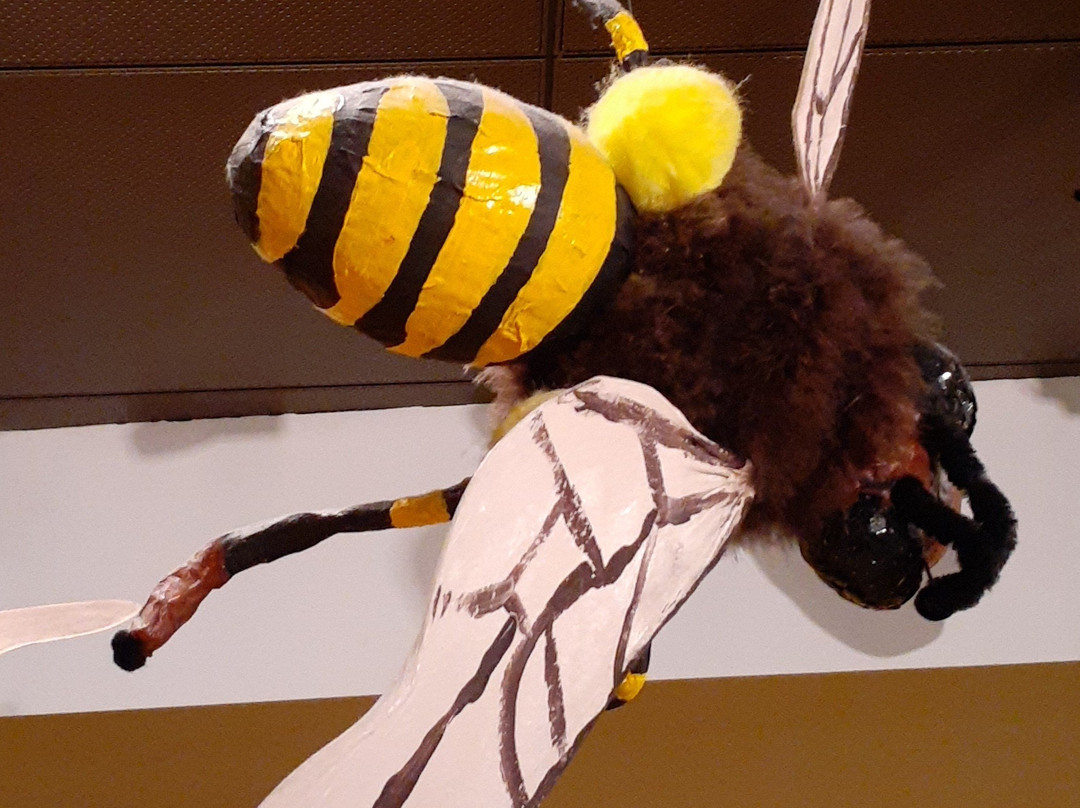 休斯顿自然科学博物馆-休斯顿必去景点